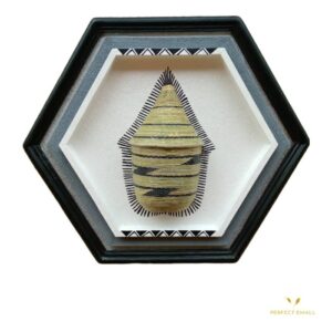 Rwandan Traditional Grass Basket Frame Wall Art -Hexagon