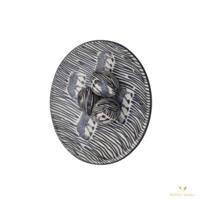 Colored Decorative Plate-Zebras