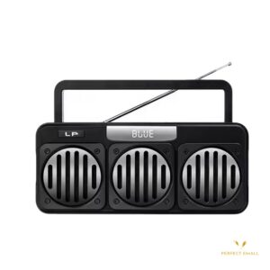 LP WIRELESS SPEAKER V60