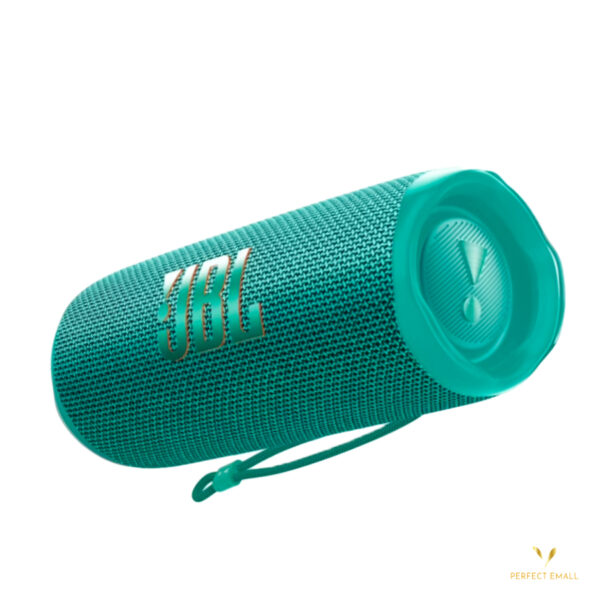 JBL Flip 6 Portable Bluetooth Speaker (Green)